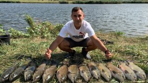 Бешеный клёв амура. Такого я еще не видел!!! Амуры разрывают подсак!!!