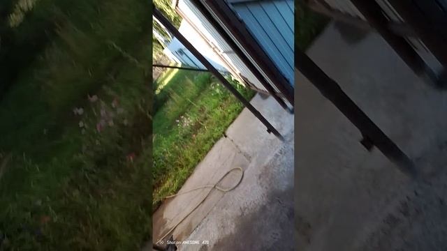 Мой караван