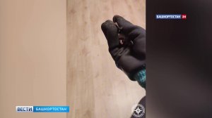 В Уфе спасатели пришли на помощь застрявшей в радиаторе летучей мыши