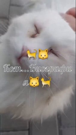 #дорогойпитомец #творим_с_питомцев #пэт_необычныйфренд #пэт_обжора #деньпитомца  #пэт_комедия