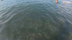 Новороссийск пляж Алексино сегодня 27 июля 2025. Море и погода в Новороссийске сейчас. Обстановка