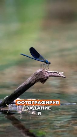 ✅Нейросети для учебы