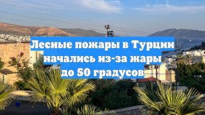 Лесные пожары в Турции начались из-за жары до 50 градусов