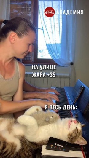 Как спасаетесь от жары?