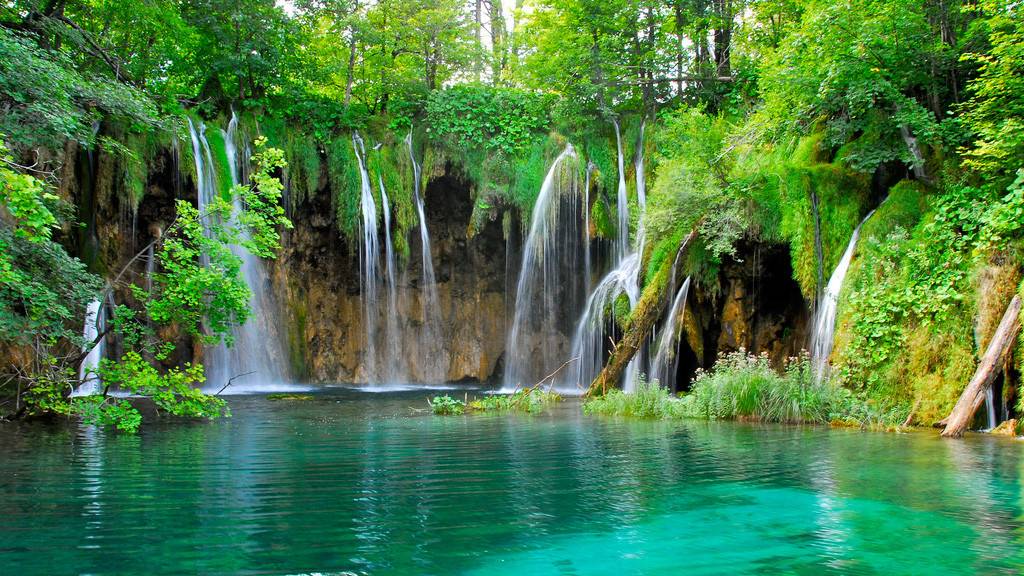 АВГУСТ--ТЕЛЕЦ(таро)