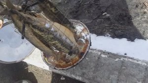 Скумбрия копчёная на ольхе