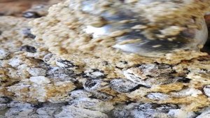 Английский рождественский пирог с коньяком