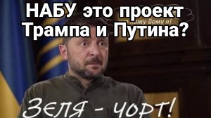 МРИЯ⚡️ ТАМИР ШЕЙХ / НАБУ ЭТО ПРОЕКТ ТРАМПА И ПУТИНА !? Новости Сводки