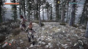 Horizon Zero Dawn
