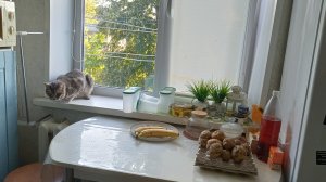 уютный вечер выходных в деревне