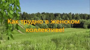 Как трудно в женском коллективе!