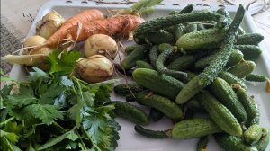 Обрезка клубники и петунии.
