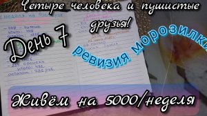 5000 рублей на неделю: Четыре человека и пушистые друзья//день7