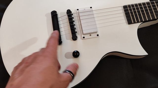 Обзор доработанной по ладам и порожку китайской реплики LTD EC Arctic Metal смотреть онлайн