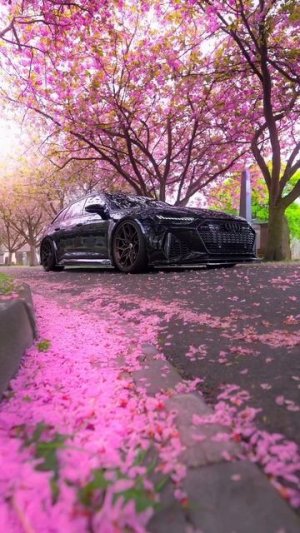RS 6 feel