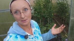 Видео привет с 6 соток 22 июля 2025 года.