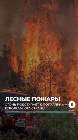 Лесные пожары подступают к популярным курортам на юге Турции #лесныепожары #турция #анталья #пожары