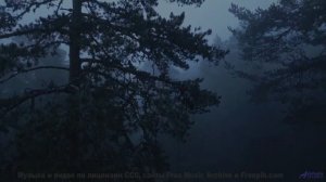 Звуки, которые могут перезагрузить ваш мозг - попробуйте! - Despite What You Said -- Knit Your Own S