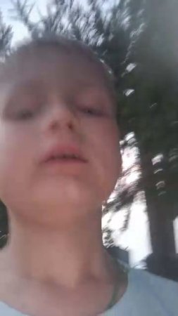 л