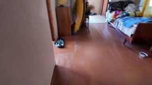 Яцкоборовский. СОНЯ В ШОКЕ ОТ НОВОГО МЕСТА.. СВЯТИК ХОЧЕТ УБЕЖАТЬ