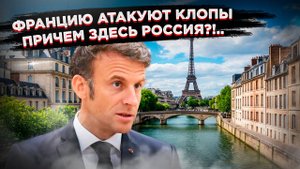 Цивилизованная Франция сдалась клопам!  Почему Европа не справляется с проблемой?