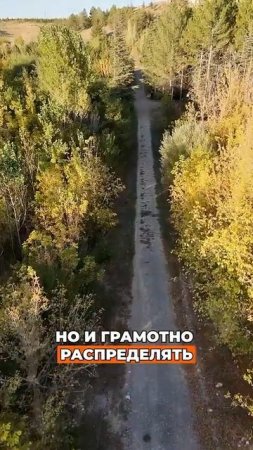 ИИнвестируй в будущее