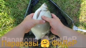 Лещи Целый день Тянут/Рыбалка на дикой реке!!!