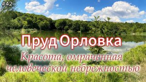 42-Пруд Орловка Красота, омраченная человеческой небрежностью