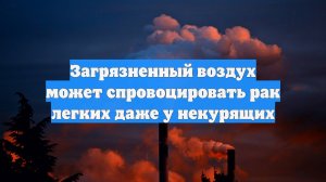 Загрязненный воздух может спровоцировать рак легких даже у некурящих