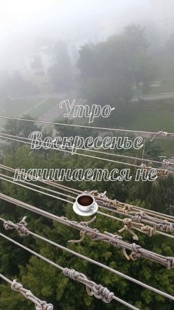 #сарказм, #черныйюмор, #сарказм_в_каждом_слове.