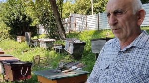 Абхазия Гудаута Натуральный горный мёд Пляж Море 27 июля 2025 г.