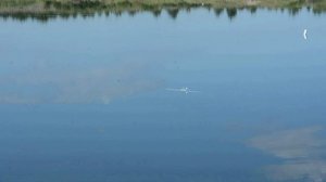 Модель подводной лодки