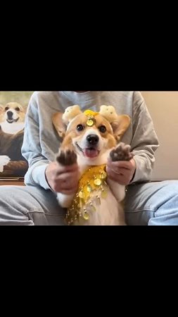 @mix_shorts_