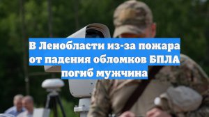 В Ленобласти из-за пожара от падения обломков БПЛА погиб мужчина