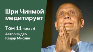 "Шри Чинмой медитирует", том 11, часть 6. Автор видео Кедар Мисани