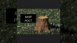 я и мой муж 😍😆