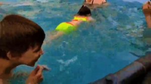 лето, бассейн, дети, лукоморье