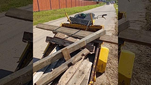 древо