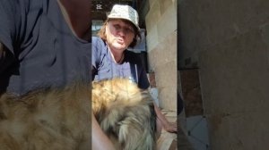 Решила подстричь Ёжика, но случился облом.Зарядка у машинки села