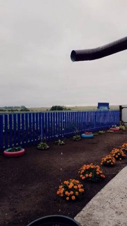 27-07-2025