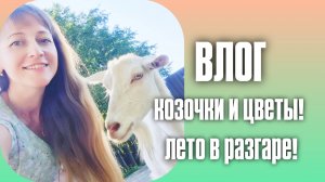 Выходной ВЛОГ: МАФФИНЫ, ПОДРУГА, КОЗОЧКИ И ЦВЕТЫ! ☀️ ЛЕТО В РАЗГАРЕ!
