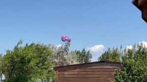 Почему стоит попробовать полёт на парашюте над морем в Голубицкой