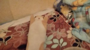 кастиной убийца 2 сезон 3 серия