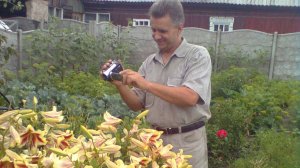 Летит душа моя .