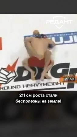 Когда сила уступает мастерству: урок, который запомнил весь мир