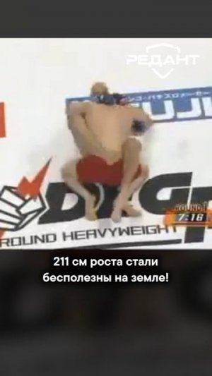 Когда сила уступает мастерству: урок, который запомнил весь мир
