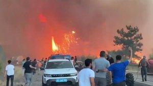 В Турции природные пожары вплотную подошли к городу Бурса