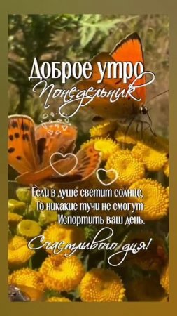 Доброе утро, ПОНЕДЕЛЬНИК! 🤗🤗🤗 28.07.2025г. Всем здоровья,  удачи, везения, счастья и позитива! 😁