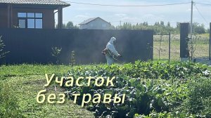 Идеальный газон своими руками, покос травы триммером