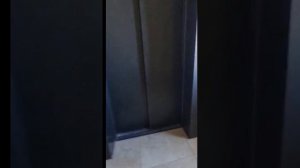 Красиво! Лифт МЛМ 2017 в ЖК "Ямайка"